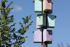 IMG_7361-scaled