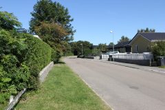 IMG_7373-scaled